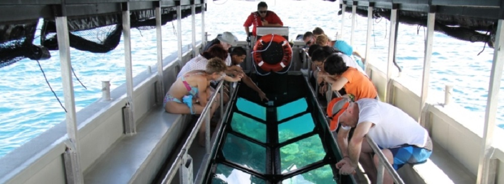 Glass Bottom Boat Tours from Green Island