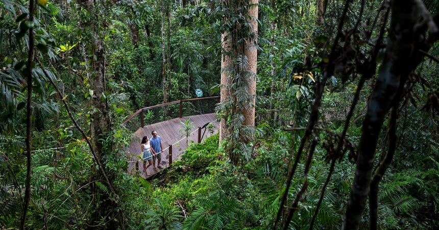 kuranda-rainforest-walk